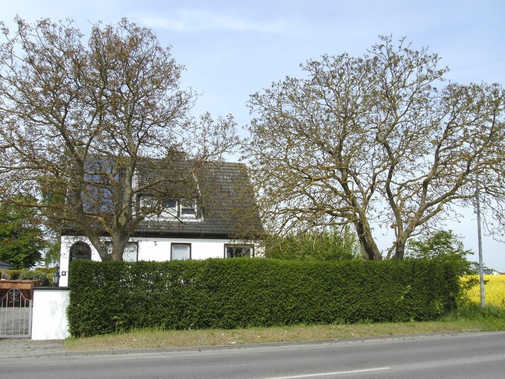 Ferienhaus Am Fuchsberg Apartment Dahme  Exterior photo